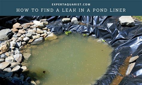 How To Find A Leak In A Pond Liner Easily